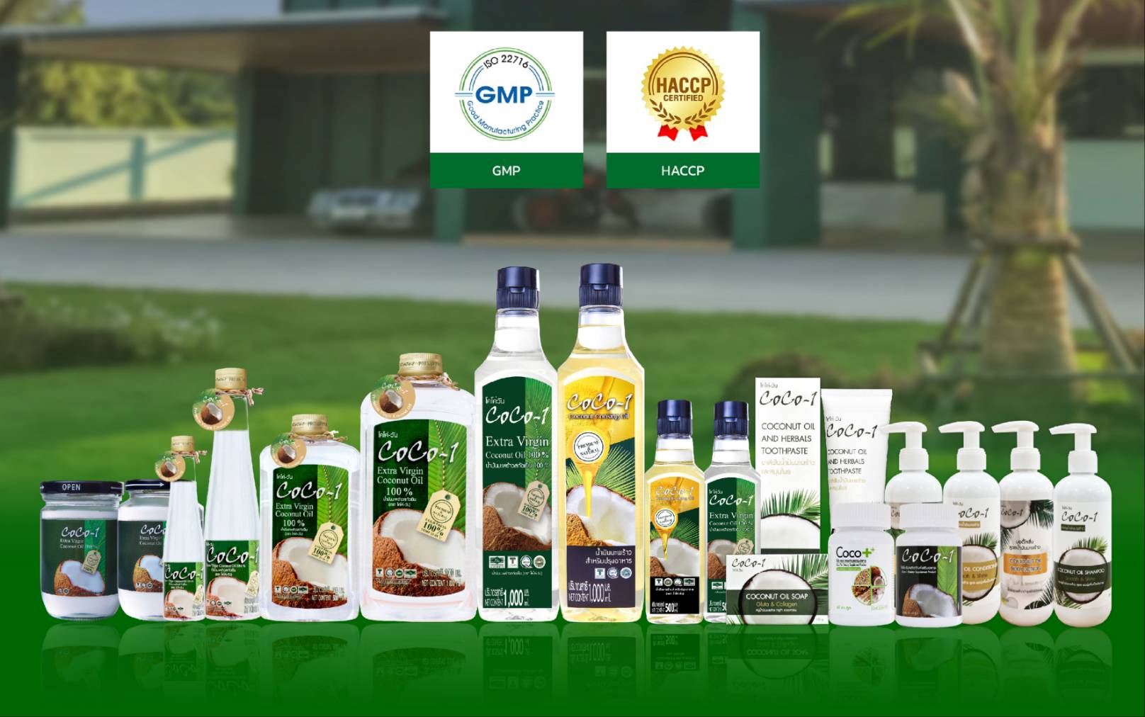 coco1cocooil coco1cocooil